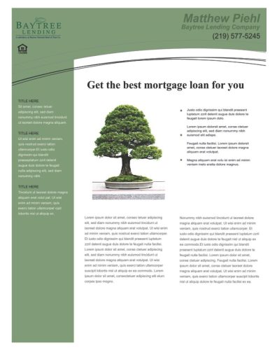 Ads - Realtor Email Flyer